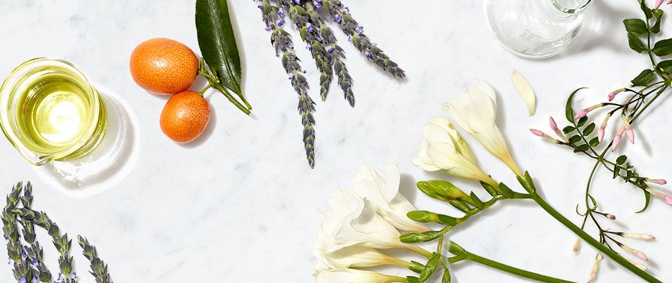 Our Guide To Essential Oils